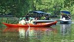 Aksi Tanam 500 Bibit Baru di Taman Wisata Alam Mangrove PIK