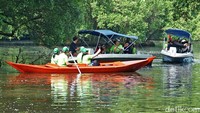 Peserta menikmati Taman Wisata Alam Mangrove dengan menaiki boat. Aktivitas utama dalam kegiatan ini ada 5 yaitu pembibitan mangrove, penanaman bibit mangrove, pembuatan bronjong, pembersihan area hutan mangrove, dan eksplorasi hutan mangrove.  