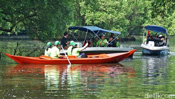 Peserta menikmati Taman Wisata Alam Mangrove dengan menaiki boat. Aktivitas utama dalam kegiatan ini ada 5 yaitu pembibitan mangrove, penanaman bibit mangrove, pembuatan bronjong, pembersihan area hutan mangrove, dan eksplorasi hutan mangrove. Â Peserta menikmati Taman Wisata Alam Mangrove dengan menaiki boat. Aktivitas utama dalam kegiatan ini ada 5 yaitu pembibitan mangrove, penanaman bibit mangrove, pembuatan bronjong, pembersihan area hutan mangrove, dan eksplorasi hutan mangrove. Â