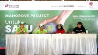 Program ini dilakukan serentak di 5 lokasi yang berbeda yaitu Jakarta (Taman Wisata Alam Mangrove), Tangerang (Tanjung Pasir, Teluk Naga), Surabaya (Mangrove Conservation Center Wonorejo), Bali (Akame), dan Kalimantan Barat (Mempawah). Program ini juga mendapat dukungan dari PT Bursa Efek Indonesia (BEI) selaku otoritas bursa dan sebuah NGO bernama Sea Soldier yang memiliki komitmen untuk mengubah pola hidup masyarakat menjadi lebih peduli terhadap lingkungan.  