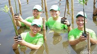 Peserta menunjukkan bibit tanaman mangrove. Metode yang akan dilakukan dalam penanaman ini yaitu menggunakan metode bronjong (keranjang kawat diisi batu).  