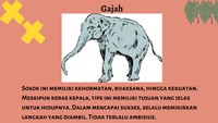 Gajah adalah sosok yang bijaksana, meskipun terkadang keras kepala.