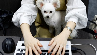 Asik Banget, Karyawan di Jepang Boleh Bawa Anjing ke Kantor