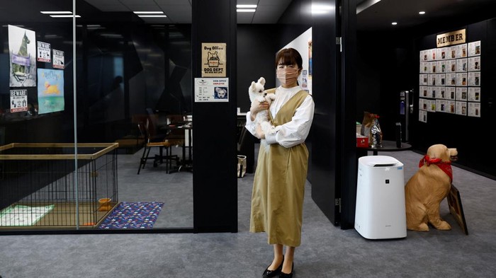 Yuka Hatagaki cuddles her five-year-old Maltese-poodle cross pet dog Noel as she works at an experimental 