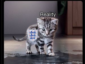 Meme Inggris Jadi Meong, Harry Maguire pun Diledek Degradasi Lagi