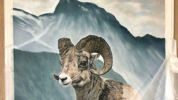 Ada yang lagi santai juga nih. Foto: (Bored Panda).