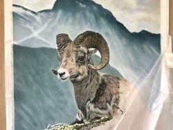 Keren banget! Cuma Pakai Pensil, Tapi Hasil Gambarnya Tampak Nyata