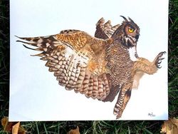 Keren banget! Cuma Pakai Pensil, Tapi Hasil Gambarnya Tampak Nyata