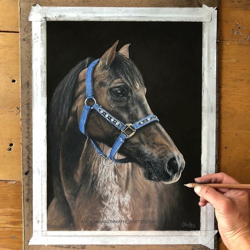 Keren banget! Cuma Pakai Pensil, Tapi Hasil Gambarnya Tampak Nyata