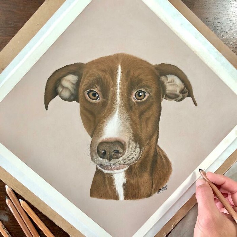 Keren banget! Cuma Pakai Pensil, Tapi Hasil Gambarnya Tampak Nyata