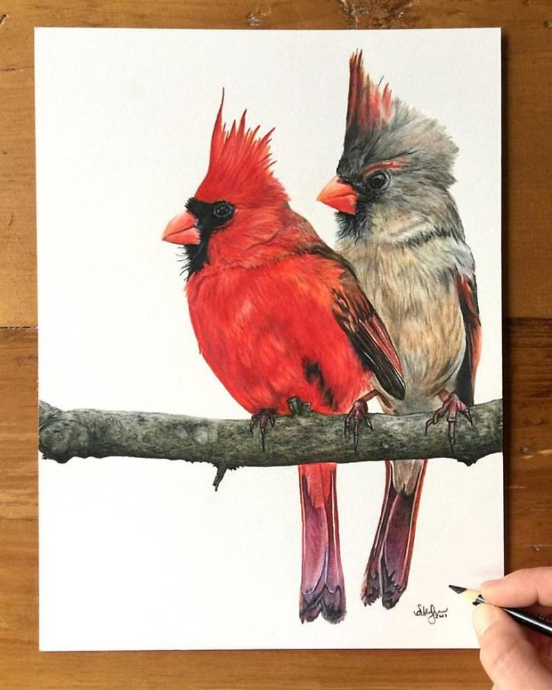 Keren banget! Cuma Pakai Pensil, Tapi Hasil Gambarnya Tampak Nyata