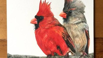 Terlihat nyata, tapi kalau didiemin terus bakal hidup gak ya itu burungnya. Foto: (Bored Panda).