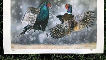 Kombinasi dua hewan dengan backgroudnnya sunnguh serasi. Foto: (Bored Panda).