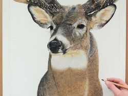 Keren banget! Cuma Pakai Pensil, Tapi Hasil Gambarnya Tampak Nyata