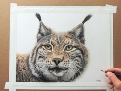 Keren banget! Cuma Pakai Pensil, Tapi Hasil Gambarnya Tampak Nyata