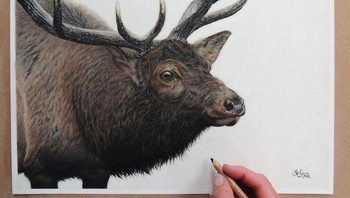 Perhatikan bulu-bulunya, dibuat dengan penuh ketelitian. Foto: (Bored Panda).