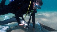 Pantai Israel sendiri kaya akan bangkai-bangkai kapal yang tenggelam. Lokasi tersebut mudah diakses karena lautnya yang tenang dan dasar berpasirnya membantu mengawetkan bangkai itu. 