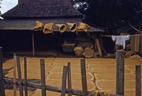 Tokyo tahun 1950-an