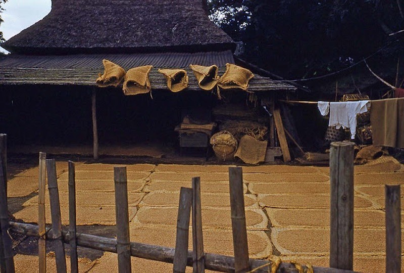 Tokyo tahun 1950-an