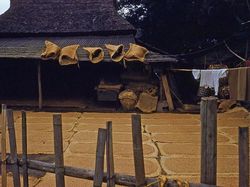 Potret Tokyo Tahun 1950-an yang Masih Sederhana Sekali