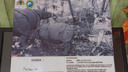 (Dok. Instagram resmi TNUK).