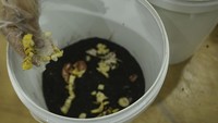 Sebelum Festival #MakanTanpaSisa, Waste4Change sudah mengelola sampah di gedung perkantoran Bank DBS Indonesia dan perumahan Vida Bekasi.