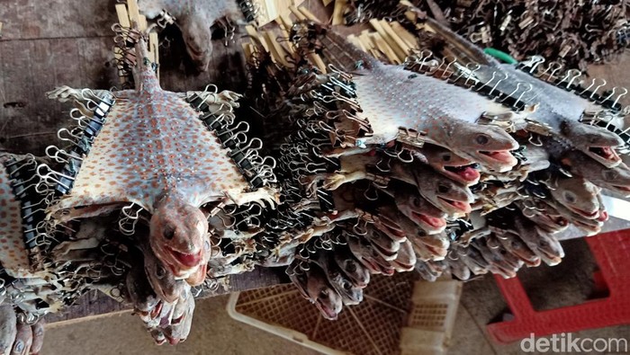 Foto dendeng tokek di Desa Mantrianom, Kecamatan Bawang, Banjarnegara. Foto diambil Minggu (25/9/2022).
