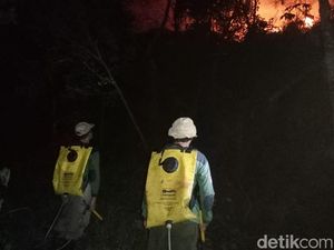 Aktivitas Perburuan Diduga Picu Kebakaran Hutan di Gunung Ciremai
