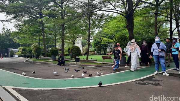 Selain taman, ada pula beberapa lapangan gateball. Gateball merupakan modifikasi dari olahraga kriket. Ternyata olahraga ini merupakan olahraga kegemaran para pegawai Kementerian PUPR. Di sekitar lapangan ini juga terdapat banyak merpati yang menjadi penghuni tetap kantor pusat. Selain taman, ada pula beberapa lapangan gateball. Gateball merupakan modifikasi dari olahraga kriket. Ternyata olahraga ini merupakan olahraga kegemaran para pegawai Kementerian PUPR. Di sekitar lapangan ini juga terdapat banyak merpati yang menjadi penghuni tetap kantor pusat.