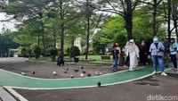 Selain taman, ada pula beberapa lapangan gateball. Gateball merupakan modifikasi dari olahraga kriket. Ternyata olahraga ini merupakan olahraga kegemaran para pegawai Kementerian PUPR. Di sekitar lapangan ini juga terdapat banyak merpati yang menjadi penghuni tetap kantor pusat.