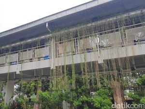 Tekan Emisi Karbon, Kementerian PUPR Dorong Pengembangan Perumahan Hijau