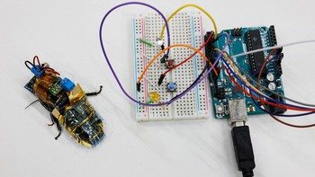 Pada perut robot ini, para peneliti menyematkan panel surya kecil. Nantinya, robot akan digerakkan menggunakan remot. Robot kecoa madagaskar ini dikembangkan oleh Thin-Film Device Laboratory di Riken.