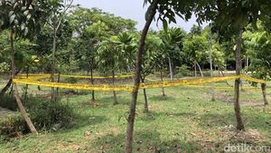 Dipasangi Garis Polisi, Ini Lokasi Pemerkosaan ABG di Hutan Kota Jakut