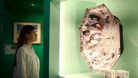 Pameran ini dibagi menjadi beberapa bagian, yaitu K-pop dan penggemarnya, drama televisi dan bioskop, hingga mode dan kecantikan.
