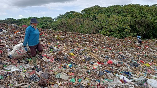 Pekerja di TPA Mandung Tabanan mulai memulung sampah usai menjalani tugas utamanya.