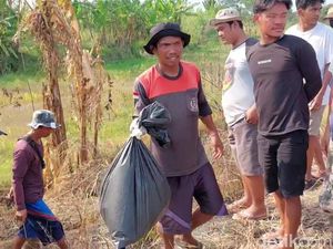 Geger Temuan Tulang Belulang Manusia Utuh di Perkebunan Subang