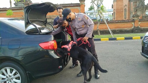 Petugas kepolisian dibantu anjing pelacak K-9 Ditsamapta Unit Pol Satwa Polda Bali saat melakukan pemeriksaan di Pelabuhan Gilimanuk, Minggu sore (25/9/2022). (I Ketut Suardika/detikBali)
