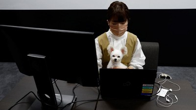 Potret Pekerja di Jepang Diizinkan Bawa Peliharaan ke Kantor, Gemas Banget