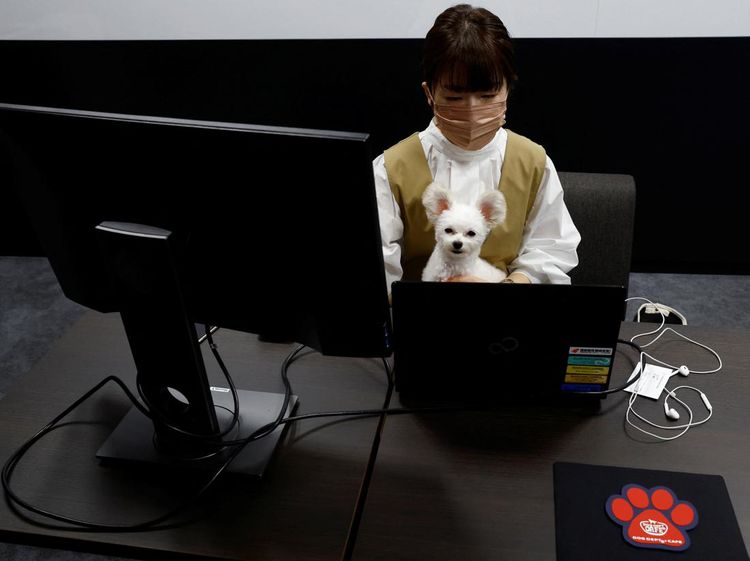 Potret Pekerja di Jepang Diizinkan Bawa Peliharaan ke Kantor, Gemas Banget