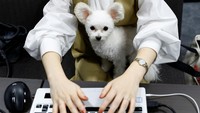 Yuka Hatagaki menempatkan Noel, anjing peliharaannya yang berusia lima tahun di pangkuannya saat bekerja di kantornya di gedung Fujitsu di Kawasaki, Jepang, Selasa, (21/9/2022).