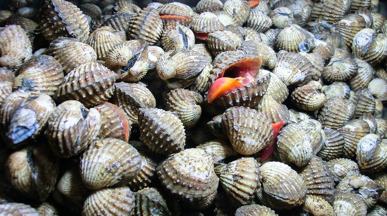 Seafood gerobakan