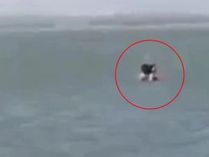 Turis Berhubungan Seks di Pantai Kena Denda Rp 1,8 Juta