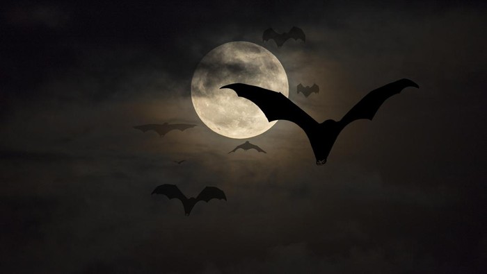 Ilustrasi vampir