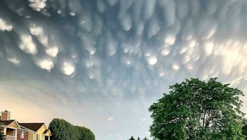 Fenomena awan Mammatus atau mammatocumulus yang berarti awan payudara adalah istilah meteorologikal untuk bentuk gumpalan-gumpalan menggantung yang terbentuk di dasar awan.   