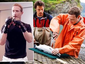 Intip Harta Elon Musk & Zuckerberg yang Mau Adu Jotos, Siapa Pemenangnya?