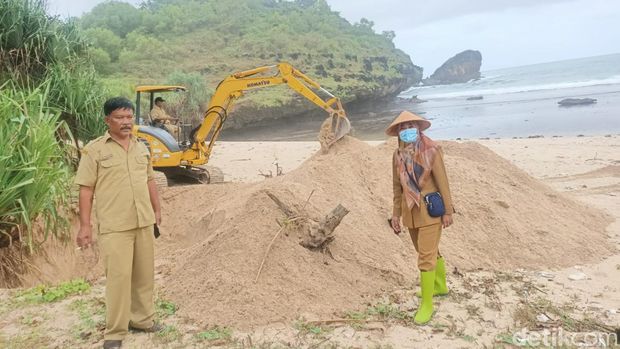 Evakuasi bangkai paus di Pacitan