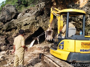 Bangkai Paus di Pacitan Berhasil Dievakuasi, Penguburan Dilakukan Besok