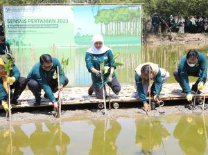Gubernur Khofifah Tanam Mangrove untuk Sedekah Oksigen