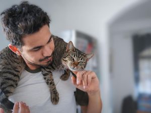 Kucing Lebih Senang Mengeong ke Lelaki, Ini Penjelasan Ilmiahnya