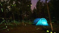Kawasan ini dibuka untuk pengunjung berkemah dengan memandang kunang-kunang yang berterbangan di sekelilingnya.  